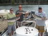 (08/28/2015) - Nice Striped Bass